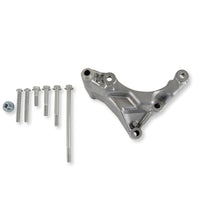 Holley Alternator Bracket Kit 97-409 - Natural Finish - Godzilla