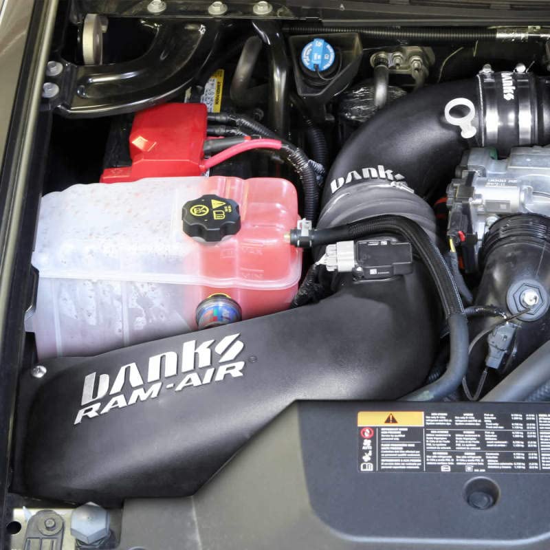 42230-D Banks Air Intake System