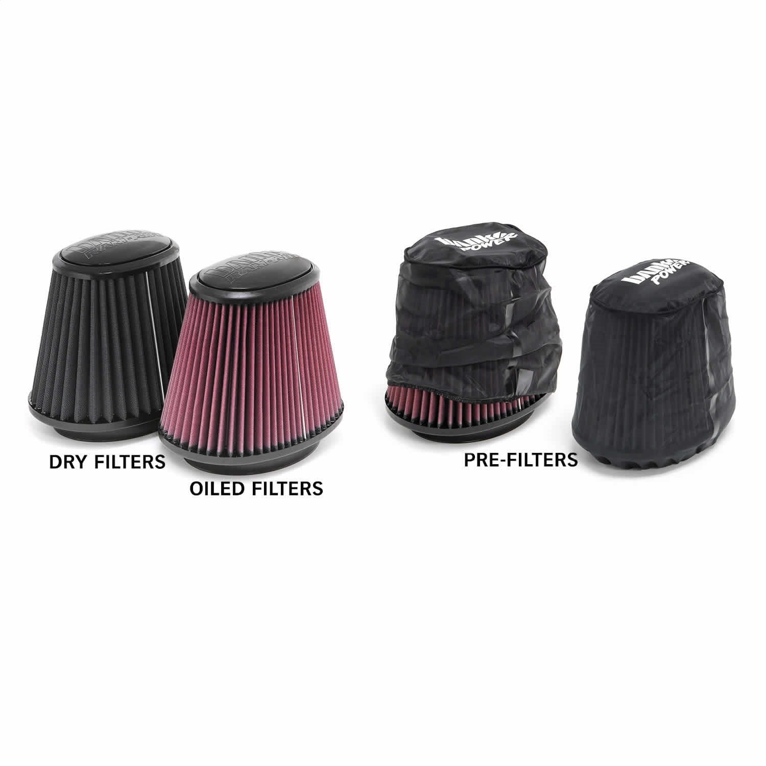 RAM Banks 42225 Air Intake System
