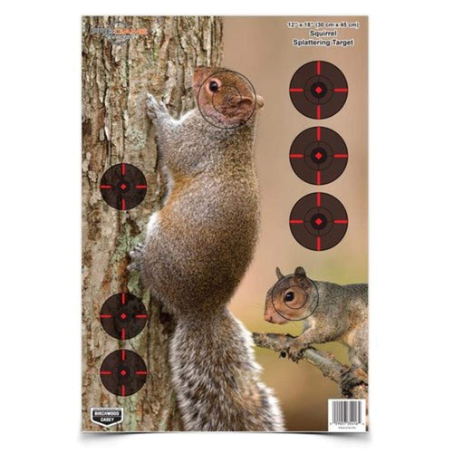 Pregame Birchwood Casey 12˝ x 18˝ Squirrel Target - 8 Targets, Black
