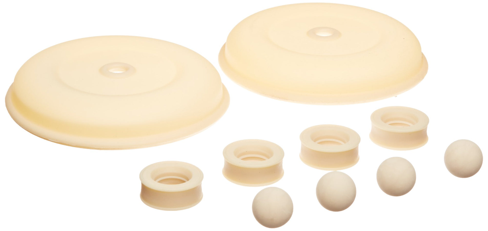 Fluid Fill-Rite KITS05SSS SECTION Kit Santoprene, for 1/2" Pump