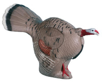 Gobbler Turkey Target Rinehart IBO Pattern