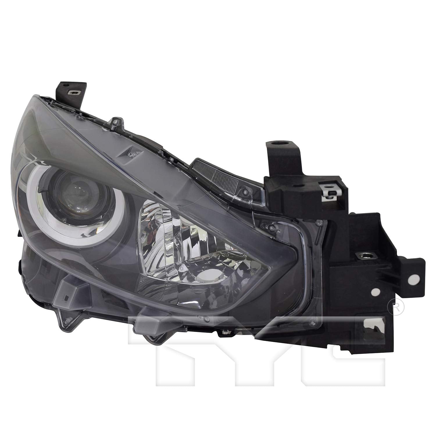 Head TYC Lamp