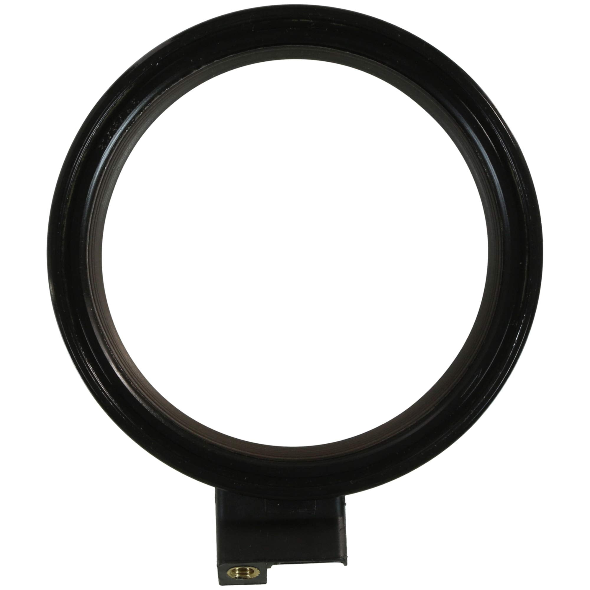 BS FEL-PRO 40731 Rear Main Seal Set