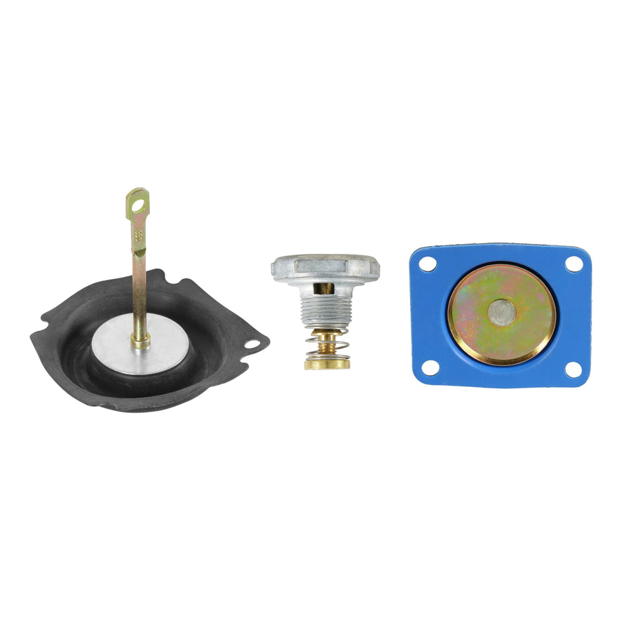 Marine Holley Renew Kit 703-29