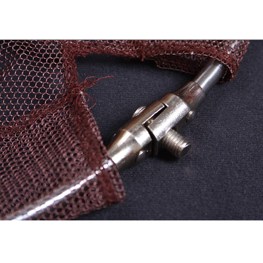 29920 Vibrant Hose End Fittings