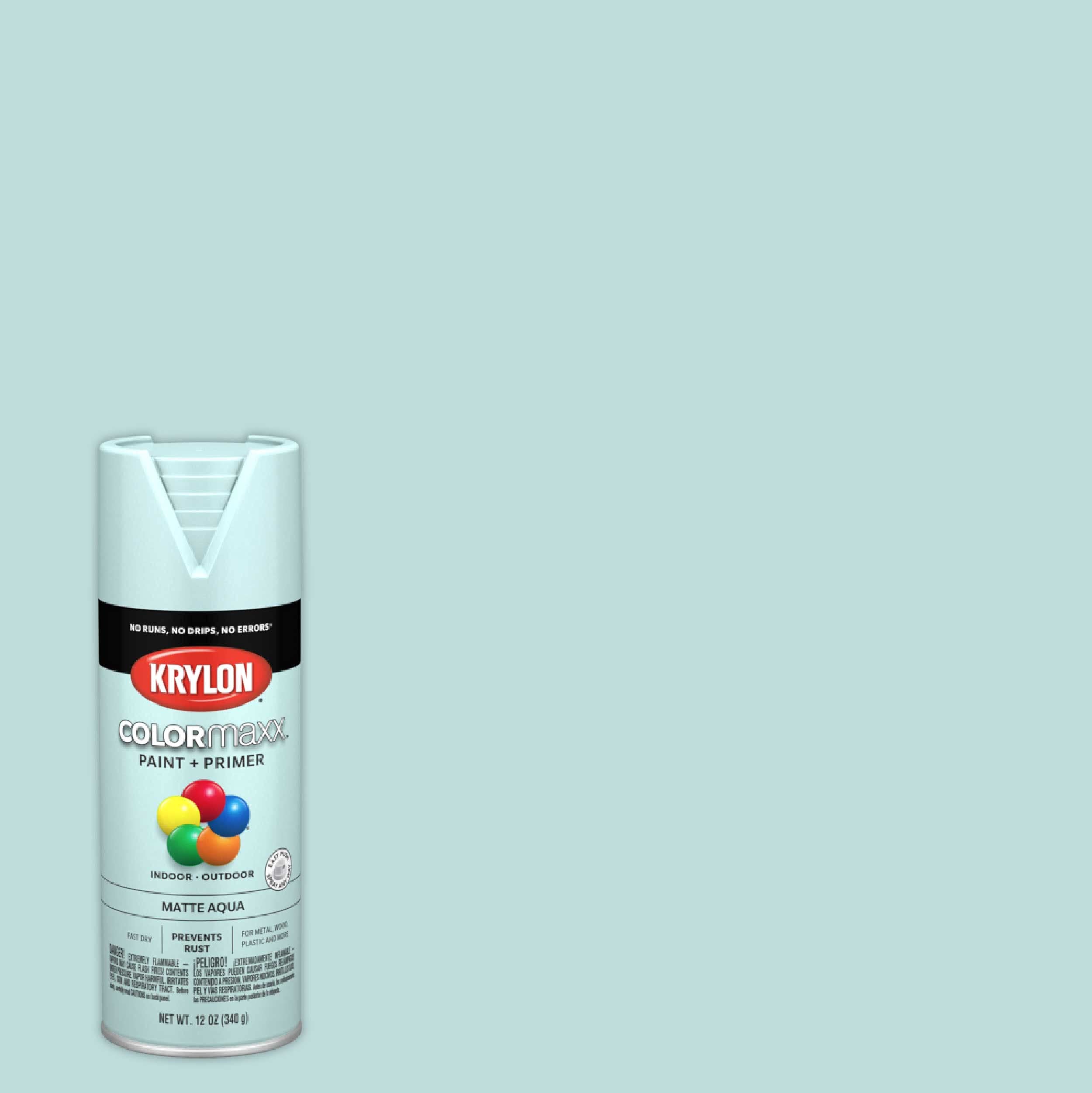Krylon COLORmaxx K05549007 Spray Paint and Primer for Indoor/Outdoor Use, Matte Aqua 12 Ounce (Pack of 1)