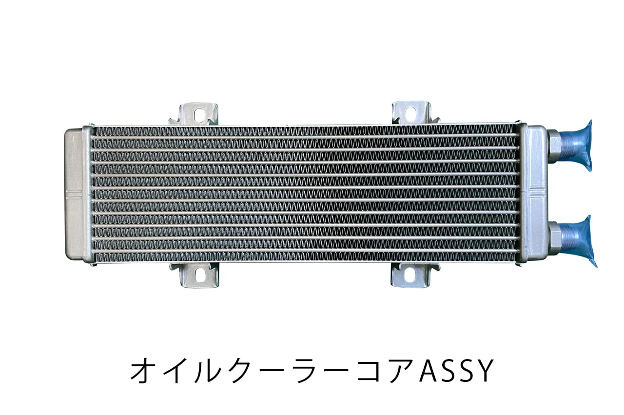 15004-AT013 HKS