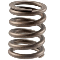 Engine Valve Spring Melling VS-1070