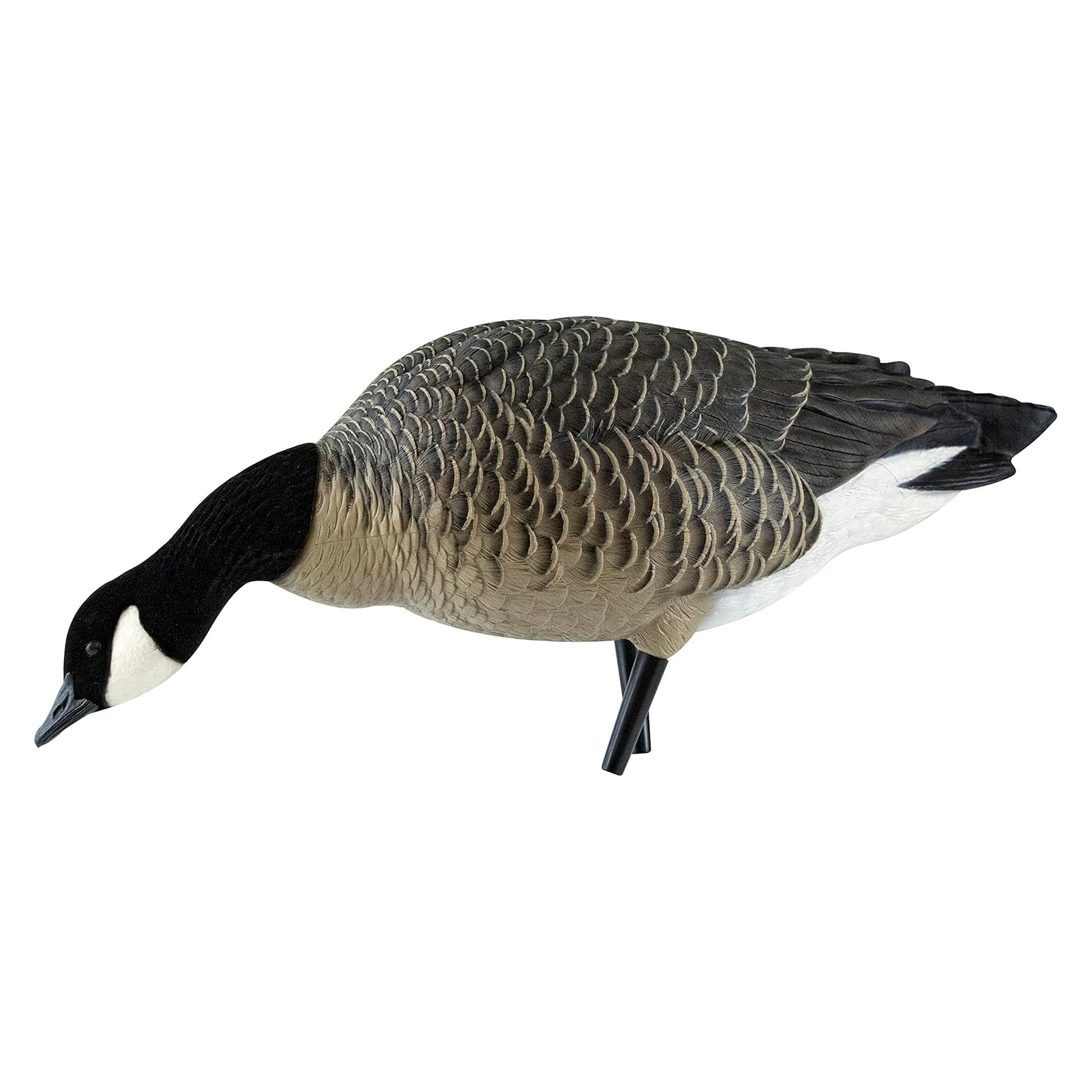 Avian X AXP Fusion Pack Honkers Lesser Canada Goose Decoys, Oversized Realistic Feeder Bodies, Flocked Heads, and Slotted Decoy Bag, Set of 6