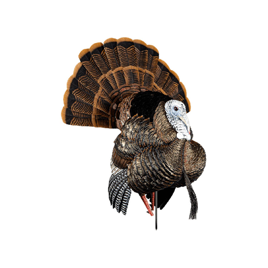 HDR Turkey Decoy Avian-X HDR Strutter