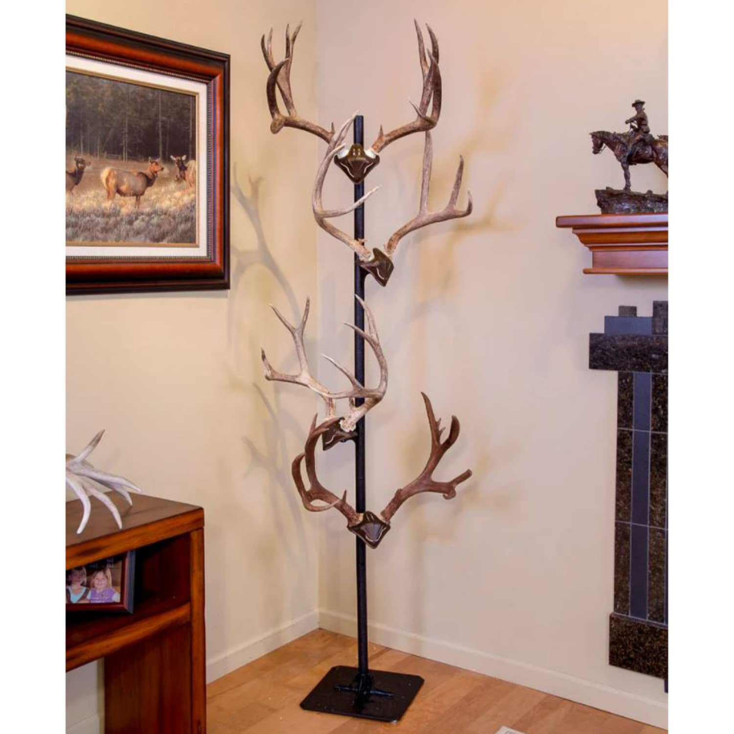 Skull Hooker European Trophy Mount Trophy Tree – Hang up to 5 Taxidermy Deer Antlers and other Skulls for Display – Graphite Black