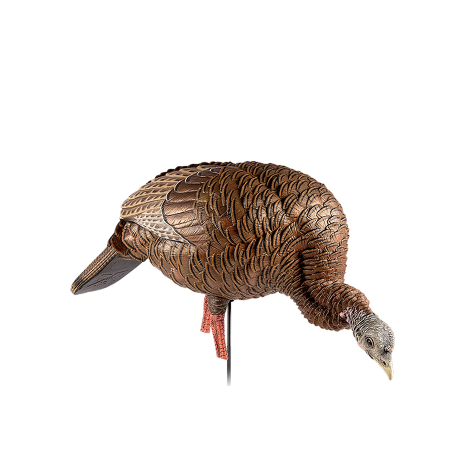 HDR Feeding Avian-X Hen Turkey Decoy