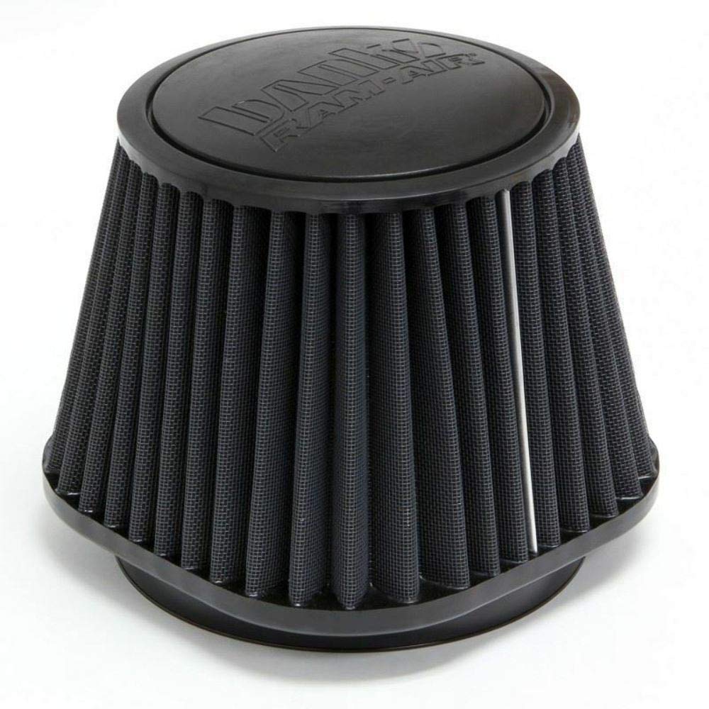 42148-D Banks Air Filter