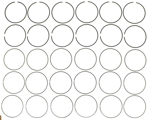 Engine MAHLE Piston Ring Set 42214CP