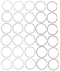 Engine MAHLE Piston Ring Set 42081CP
