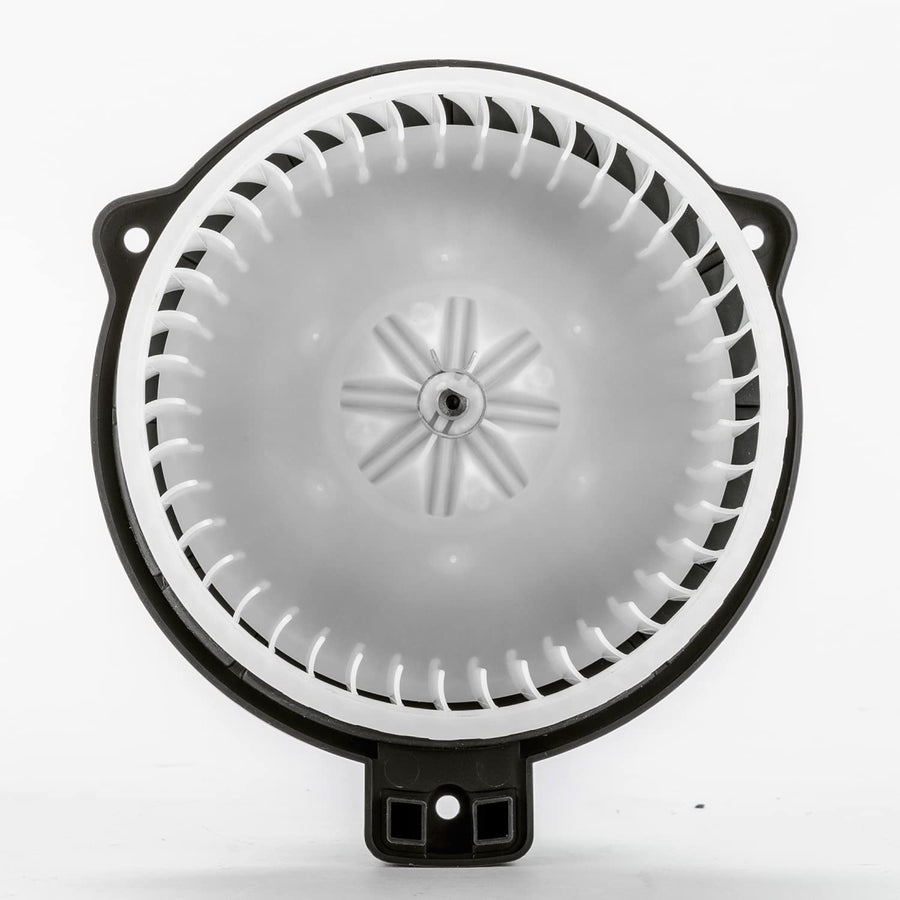 Replacement TYC 700286 Blower Assembly (HYUNDAI)