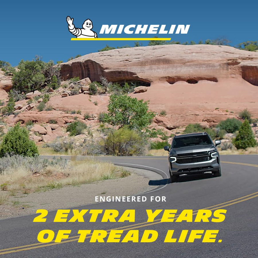 Defender LTX MICHELIN M/S2 275/65R18/XL 116T