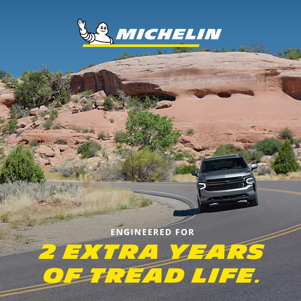 Defender LTX MICHELIN M/S2 275/65R18/XL 116T