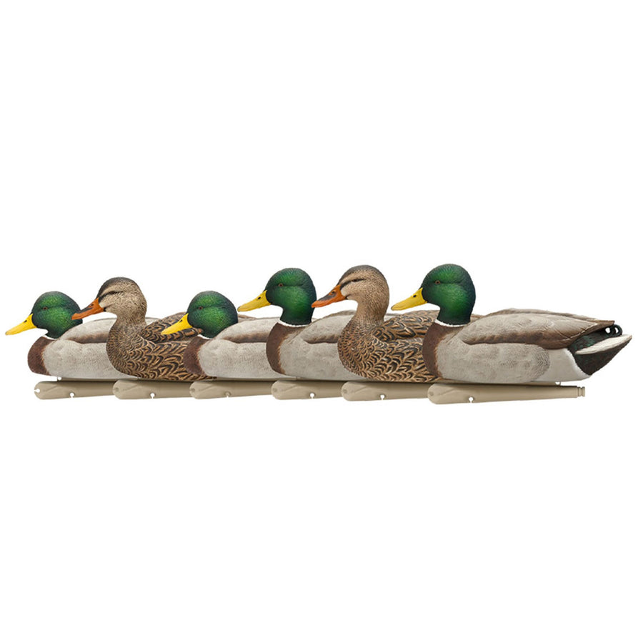 Avian X Topflight Realistic Mallard Duck Decoys Open Water with Weight-forward Swim Keel Set of 6 (Multicolor)