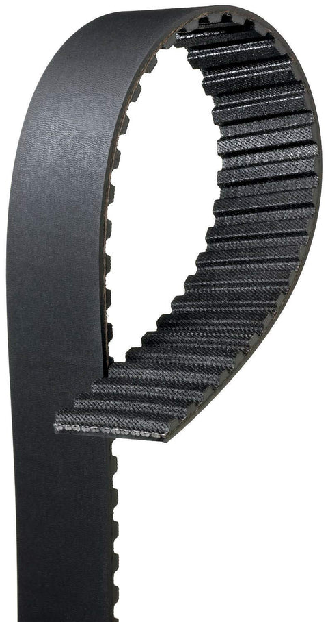 T082 Gates Injection Pump Belt