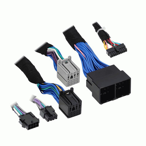 DSP T-Harness Axxess Fits Select GM Models 2019-Up (AXDSPH-GM30)