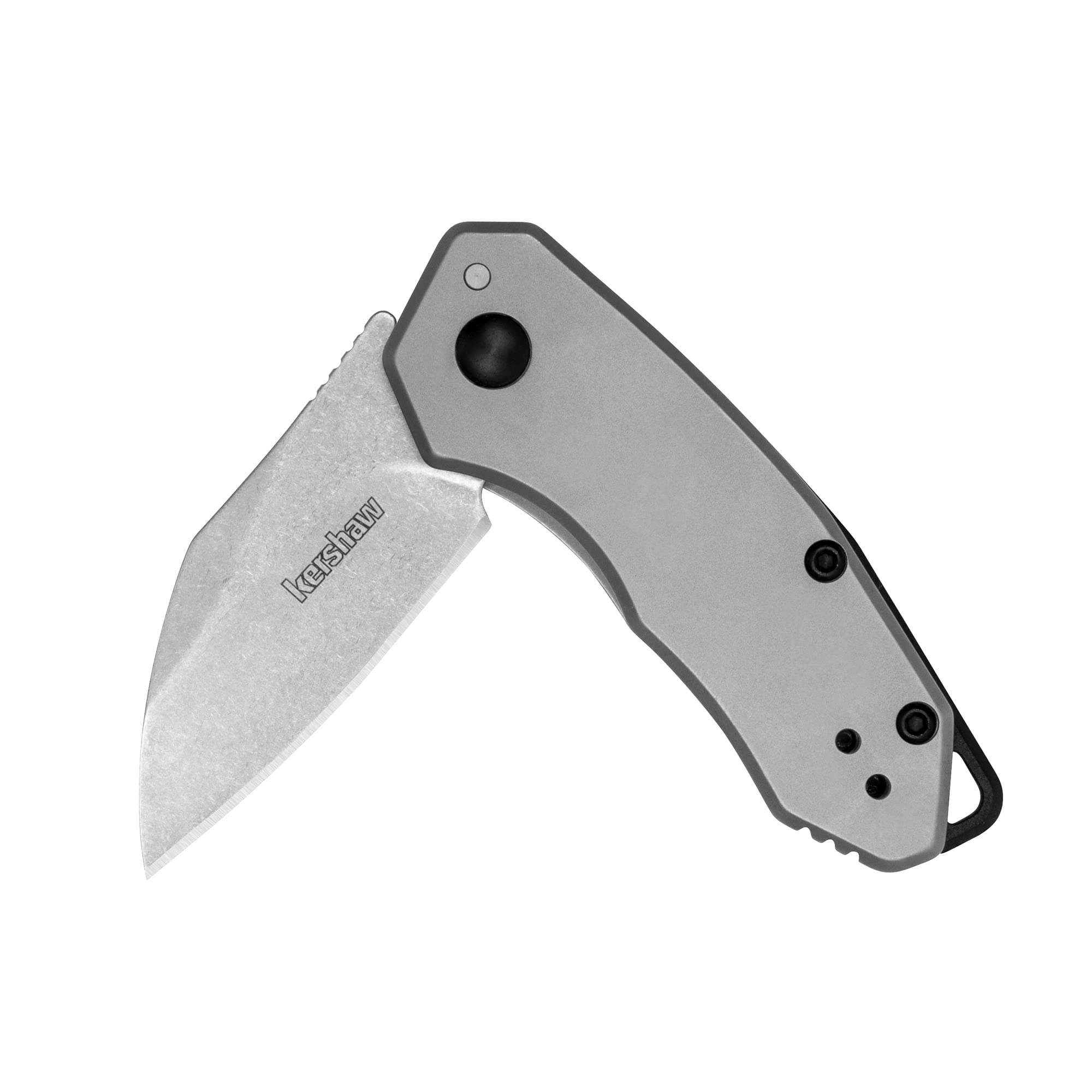 Kershaw Folding Rate Pocket Knife, Small Everyday Carry Knife with Assisted Opening, 8Cr13MoV Stainless Steel Blade, Pocketclip and Lanyard Hole,Grey