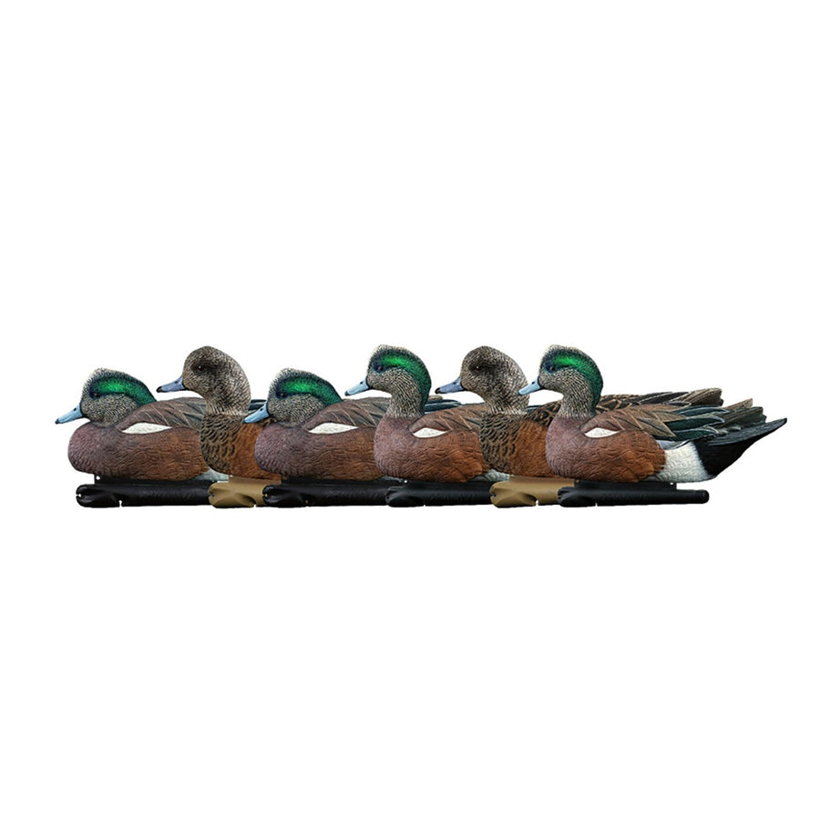 Avian X Wigeon Topflight Decoys, Rugged Realistic Floating Duck Decoys for Hunting, Weight Forward Swim Keel, Set of 6, Multicolor