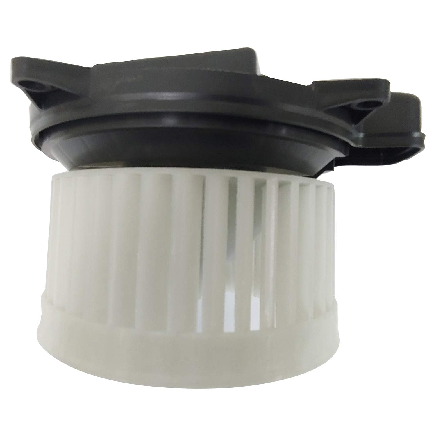 Blower TYC Assembly