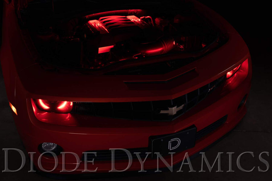 Diode Dynamics RGBW Engine Bay Strip Kit DD0444, 4pc, Multicolor