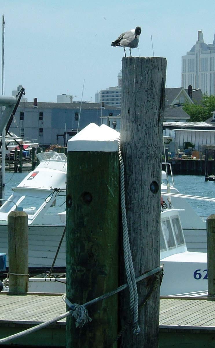 Dock Post Topper TAYLOR MADE PRODUCTS Piling Cap