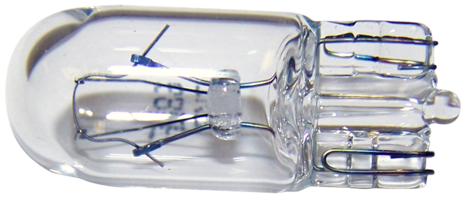 Bulb Crown