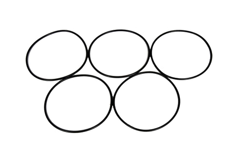 Water Pump O-Ring GM Genuine Parts 251-2043 (94013304)