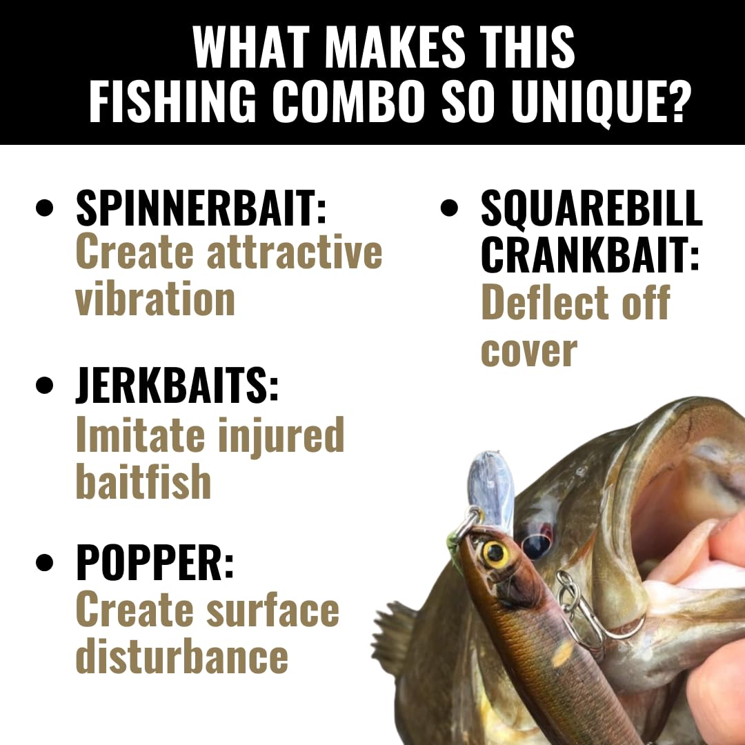 Mixed Water LUNKERHUNT Crankbaits – 4-Pack | Premium Hard Bait Fishing Lures for Bass, Walleye & Saltwater | Ideal for Deep Water Action