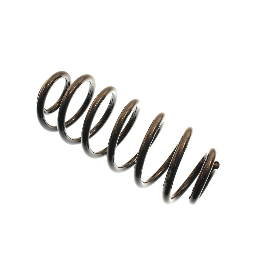 199021 Bilstein Coil Spring