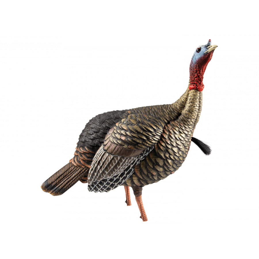 HDR Jake Avian-X Turkey Decoy | Rugged Durable Realistic Lifelike Quarter-Strut Body Standing Hunting Decoy with 2 Removable Heads, Mounting Stake & Carry Bag