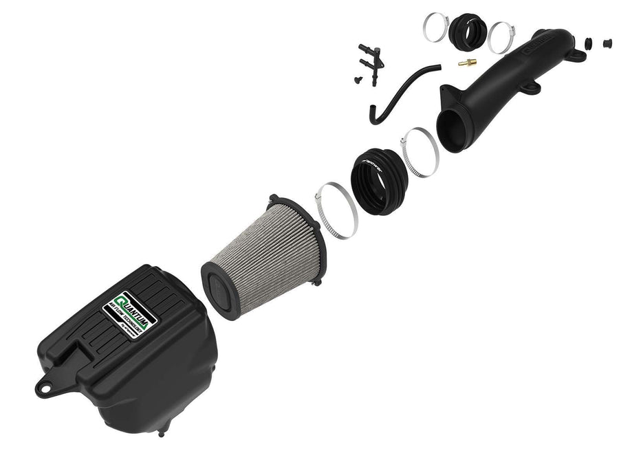 Cold Air Intake System aFe POWER w/Pro DRY S Filter, #53-10019D, Black