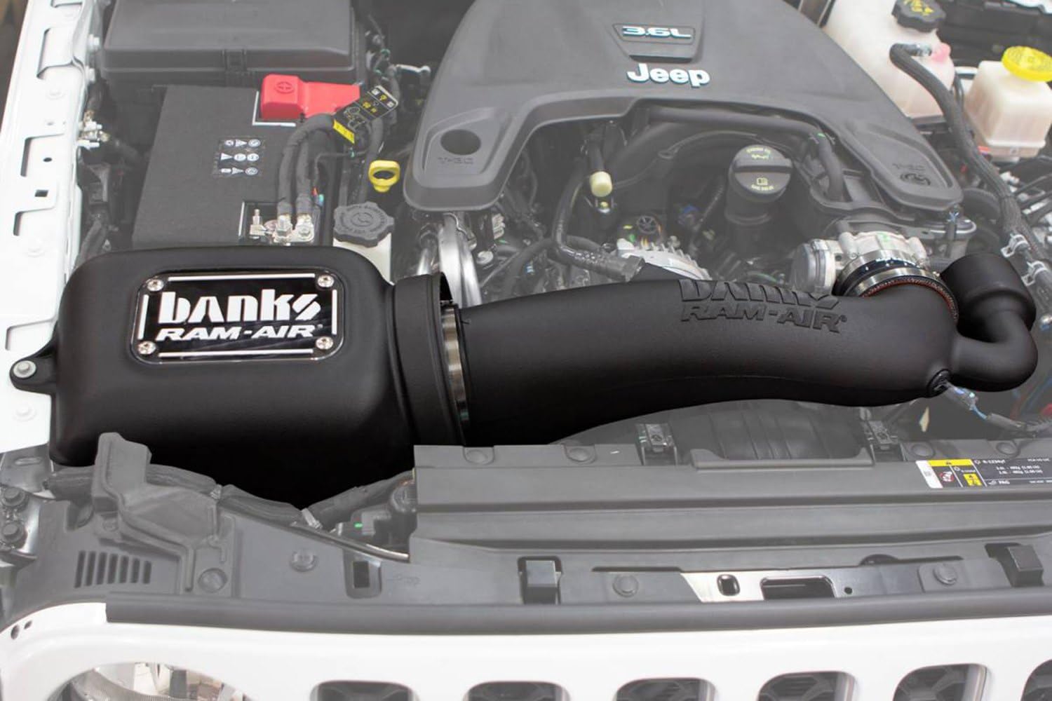 Ram Air Banks Engineering 41843-D Air Intake Kit Fits Jeep Wrangler