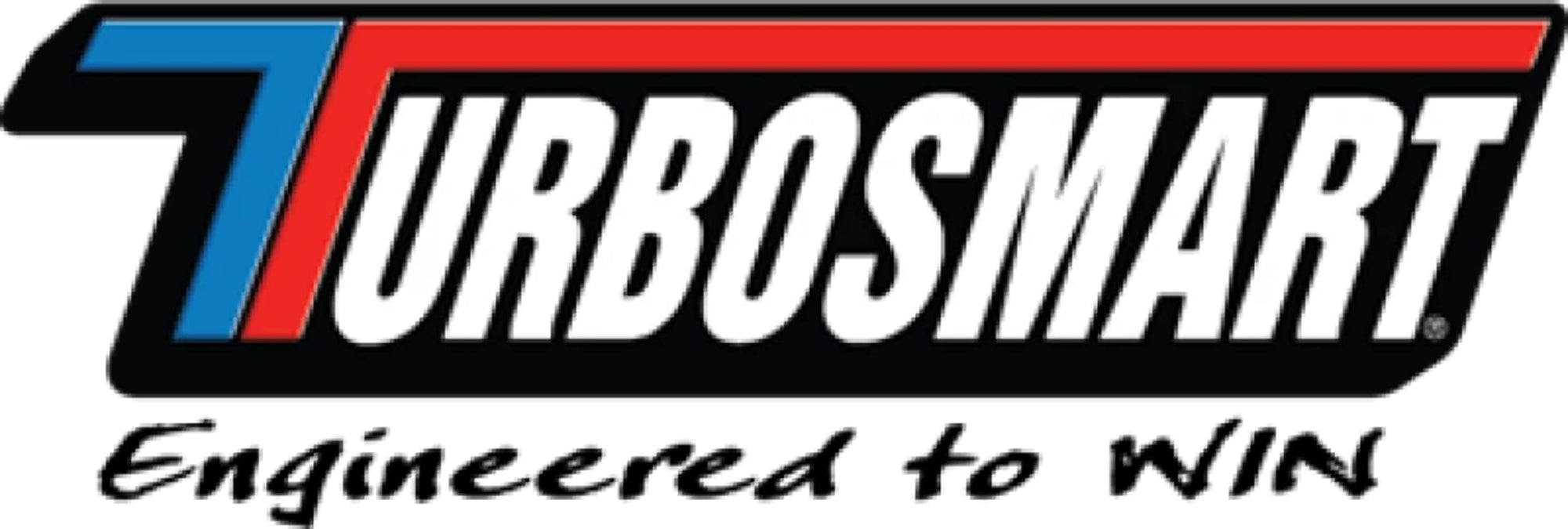 Fuel Filter Turbosmart TS-0402-1130 (Fuel Pressure Regulator Billet 10um AN-6 - Black)