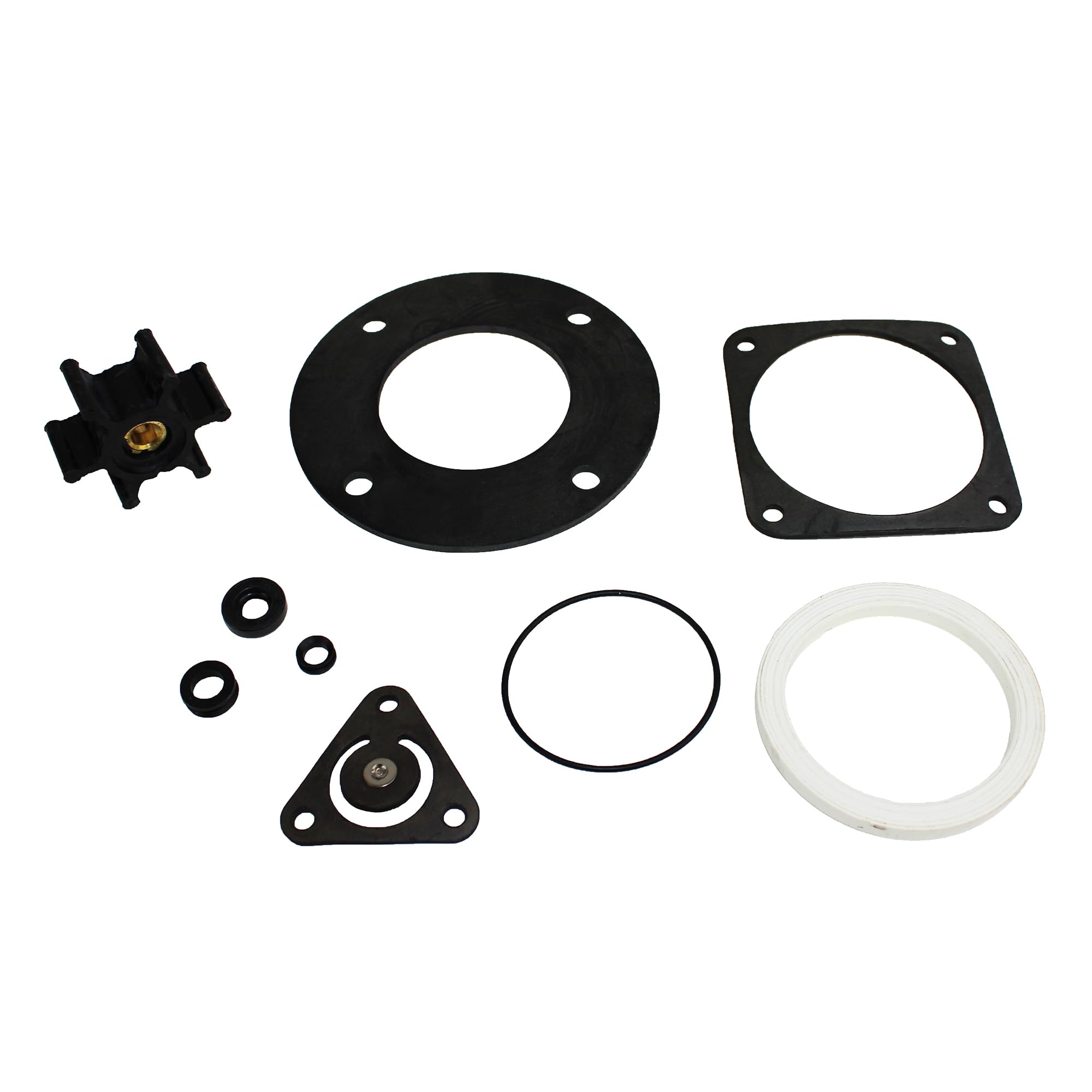 Gasket Kit Johnson Pump 81-47451-01
