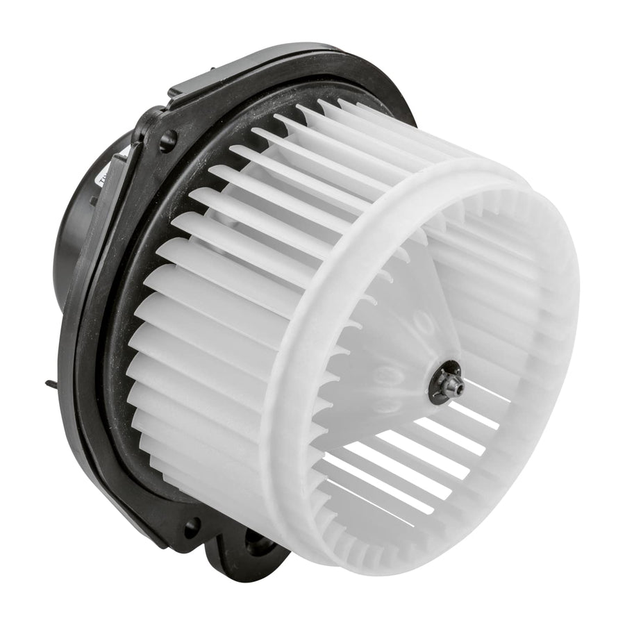 Replacement TYC 700231 Blower Assembly