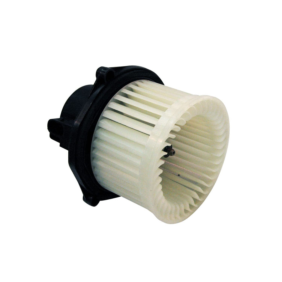 Chevrolet/Pontiac TYC 700075 Replacement Blower Assembly