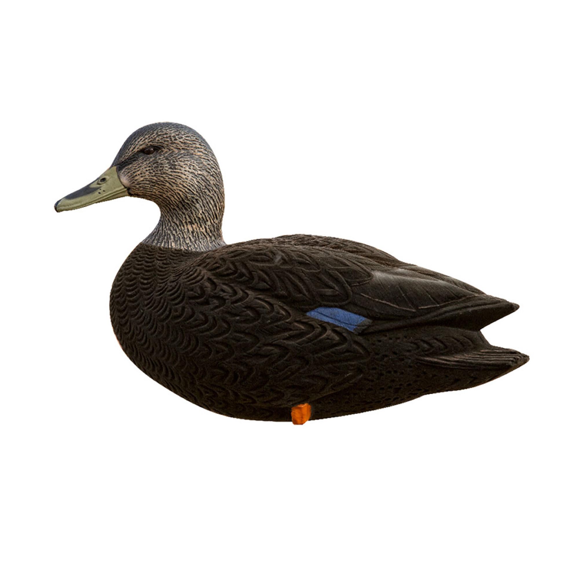 AXF Avian-X 6 Piece Flocked Full Body Black Ducks Fusion Pack with Rugged Durability and Custom Fitted Bag for Hunting Use, Outdoor Sports, and Recreation