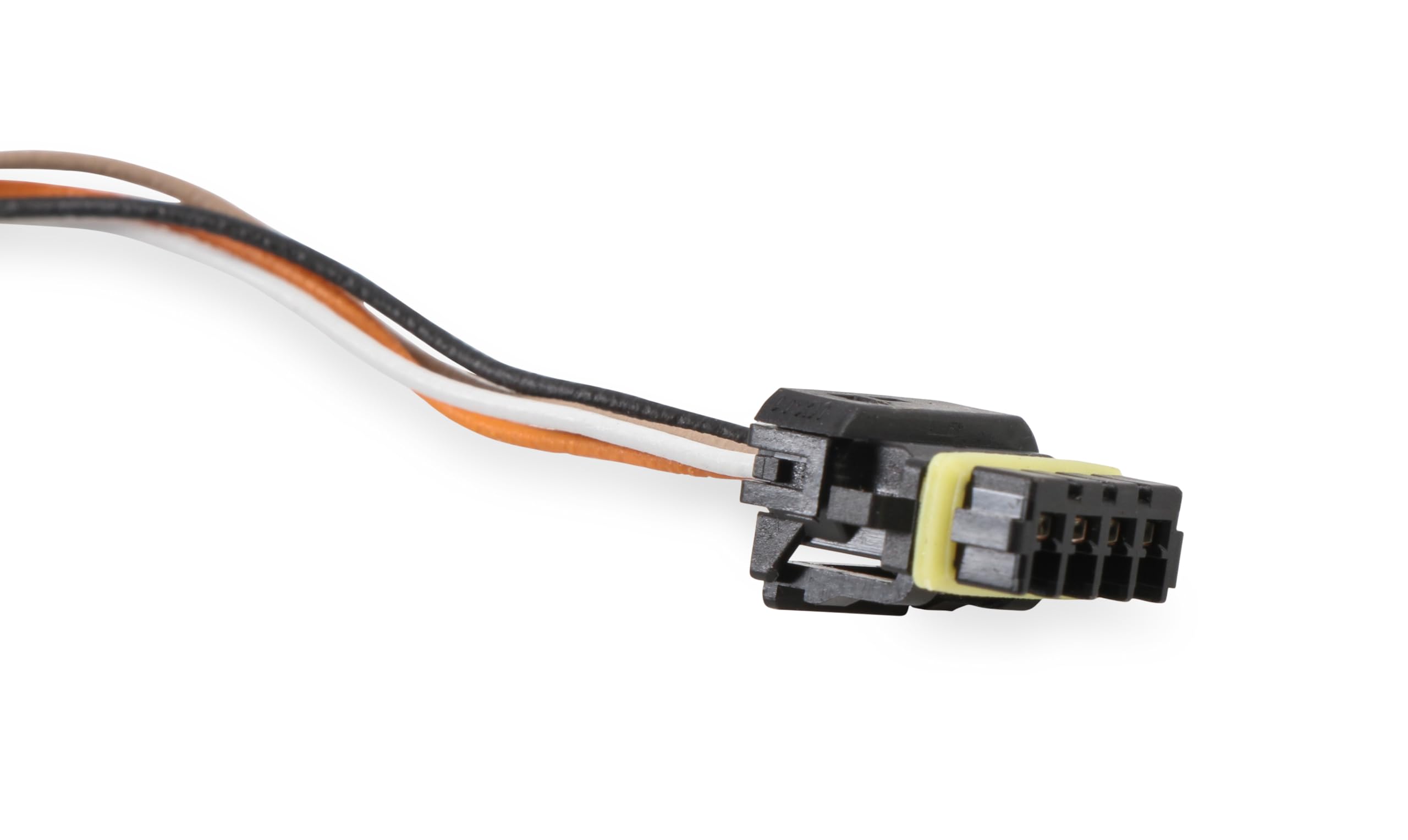 558-454 Holley EFI CAN Adapter Harness - 12 Foot Length
