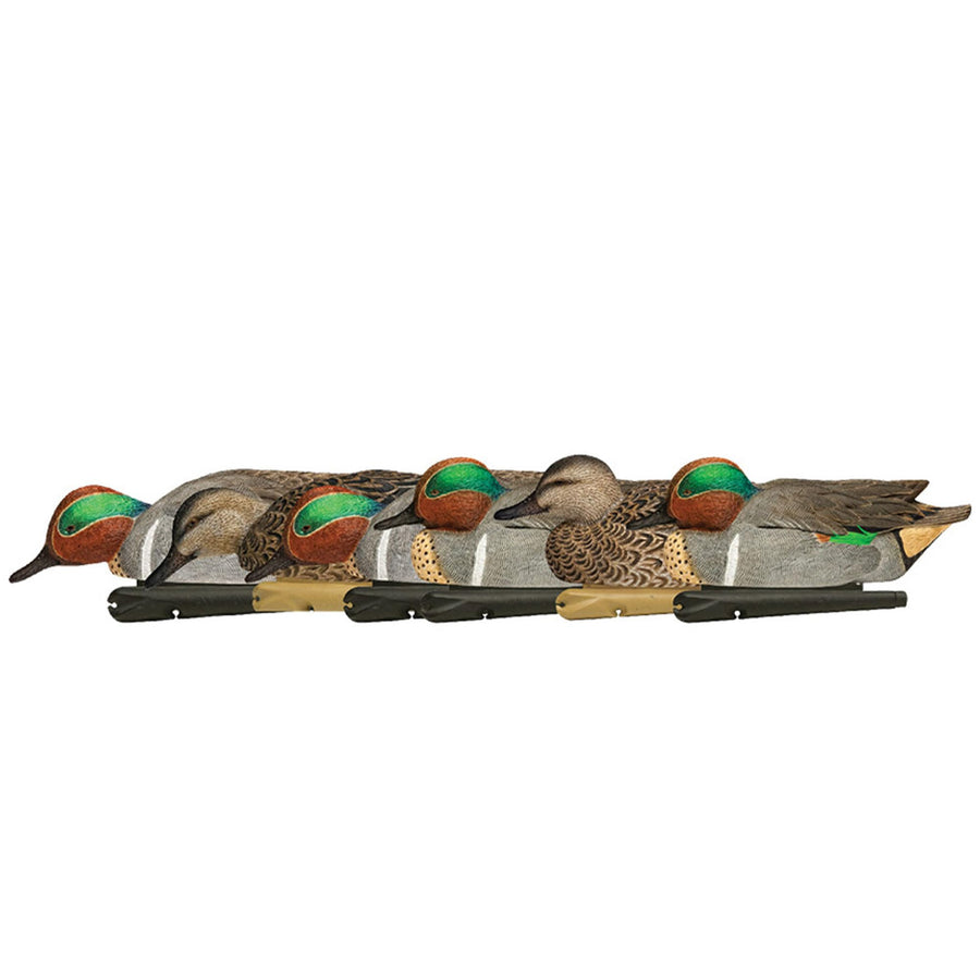 Avian X Green-Winged Teal Topflight Decoys, Realistic Floating Duck Decoys for Hunting, Weight-Forward Swim Keel, Set of 6, Multicolor