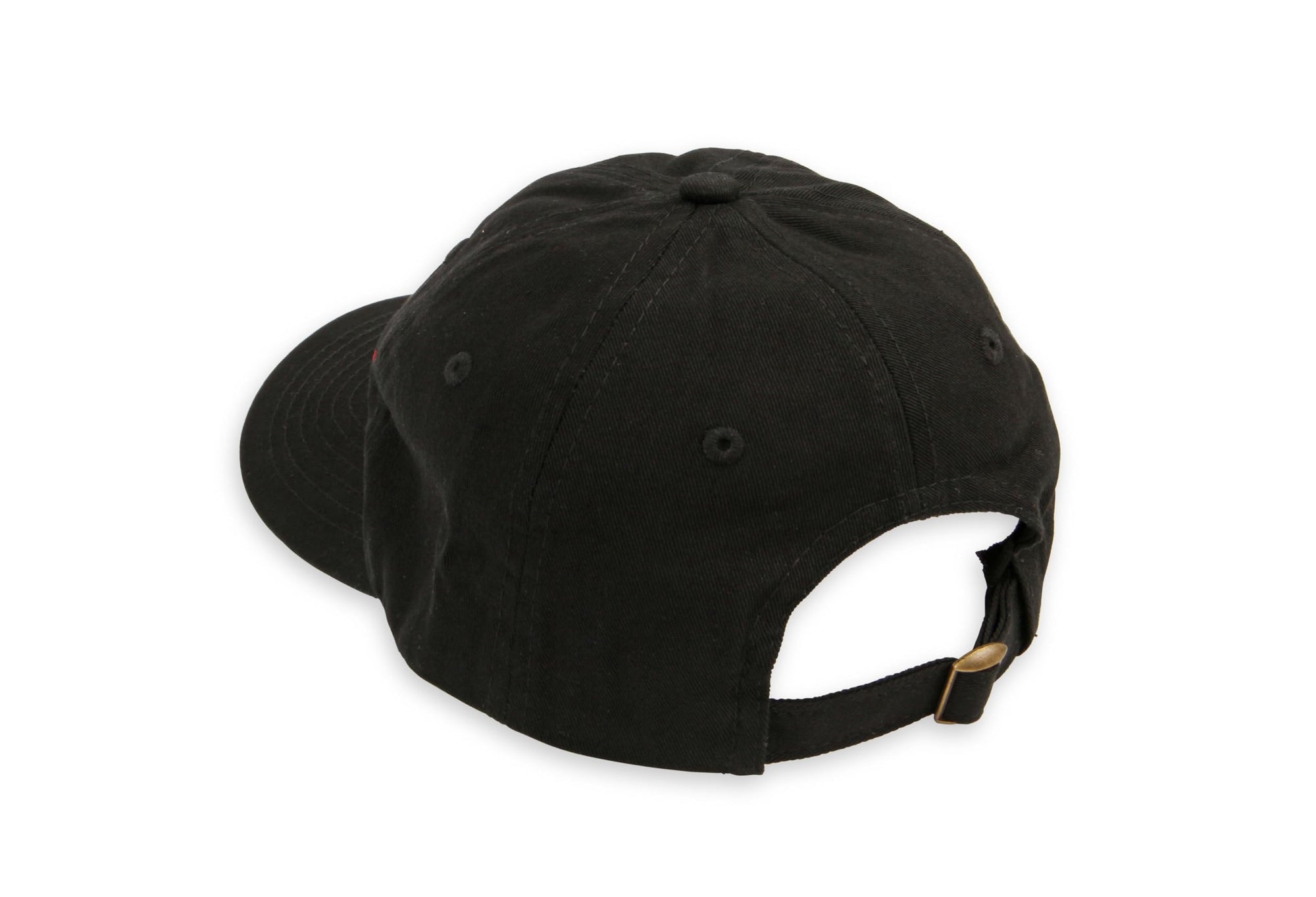 10019HOL Holley EFI Hat