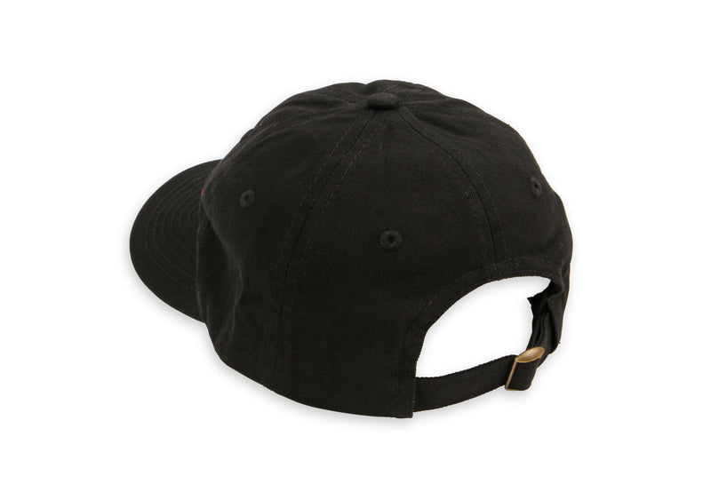 10019HOL Holley EFI Hat