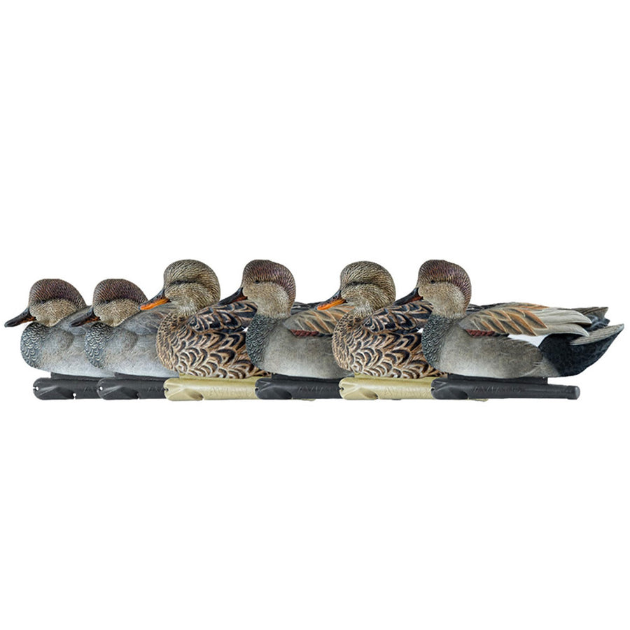 Topflight Avian X Gadwall Decoys Perfectly Replicated Late Season Gray Ducks, Weight Forward Swim Keel, Realistic Movement, Set of 6, Multicolor