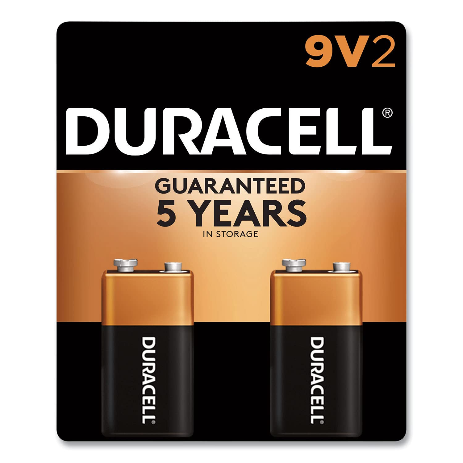 9 volt Duracell Battery (2 pack) (MN1604B2)