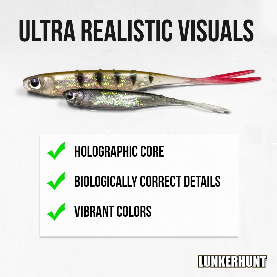 Bento Bait Lunkerhunt Fishing Lure (6 Pieces)| Each 3-Inch, Dace Color | Life-Like Saltwater and Freshwater Fish Baits, Award Winning, Soft Body for Bass Trout Fishing